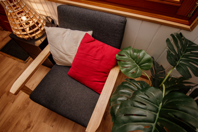 Pagotin du Mont d'Or