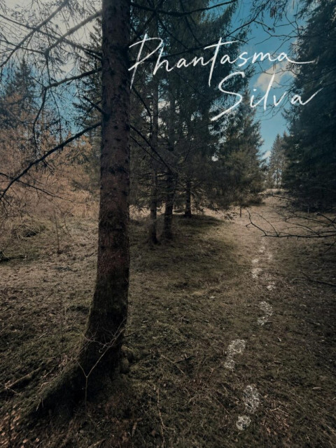 Phantasma-Silva-800x1067