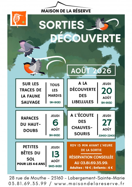 Sorties août - © Maison de la Réserve Sorties août