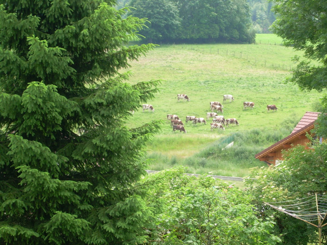 Vue du balcon 