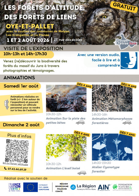 affiche animations