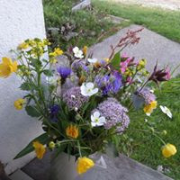 bouquet de fleurs des champs des alentours