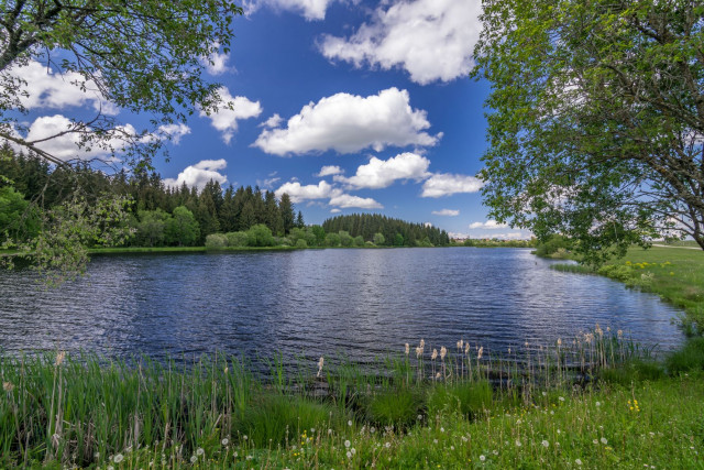 etang-moulin-334601
