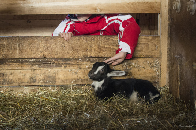 ferme la batailleuse rochejean - centre de vacances le souleret ©Florian Houdelot (6)