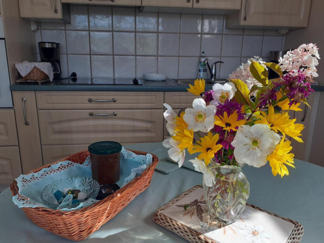 Appartement Mireille Godart 