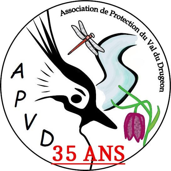 logo apvd