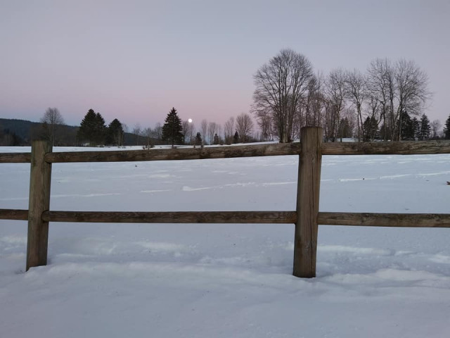 VU DEPUIS L'APPARTEMENT