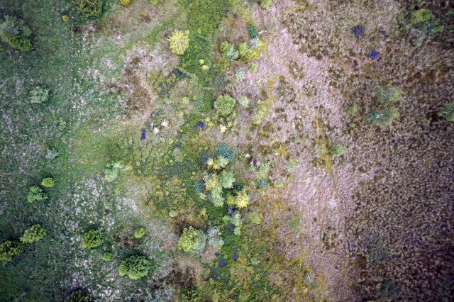 2026_40ans_Frasne-Drugeon