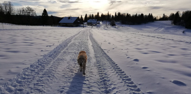 Nos pistes de ski de fond sur place