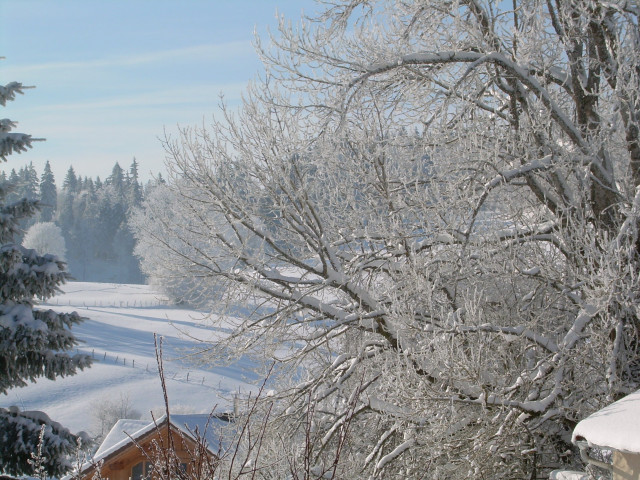 vue en hiver