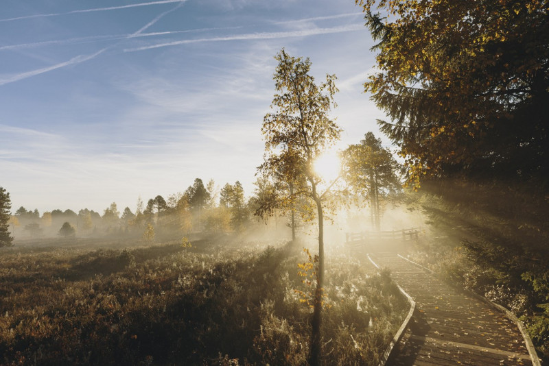 Tourbieres Frasne Bouverans Tourbieres Frasne Bouverans