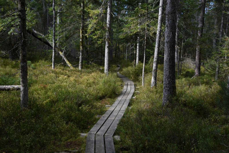 RNR Tourbieres Frasne Bouverans