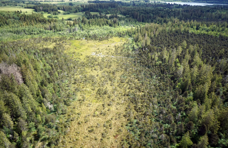 Tourbieres Frasne Bouverans