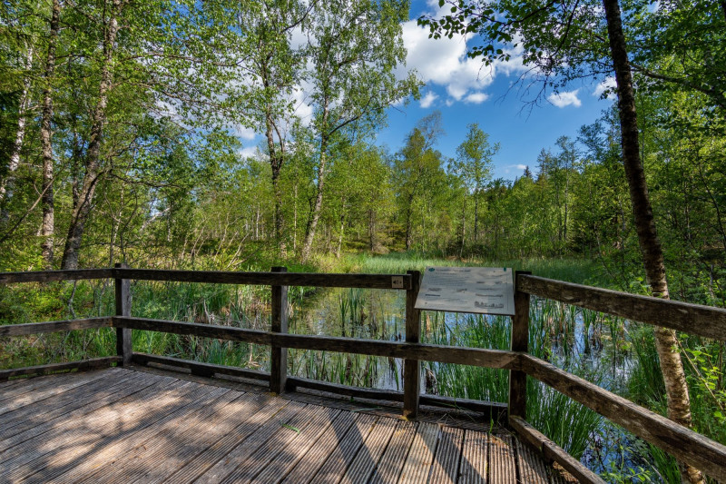 Emile laroue_40ans_Frasne-Drugeon