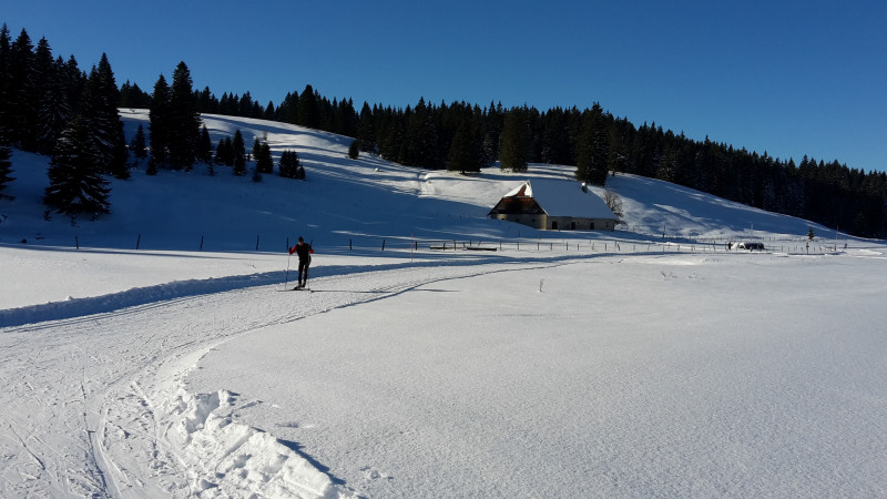 Plaisir du ski de fond chez Liadet avec le soleil