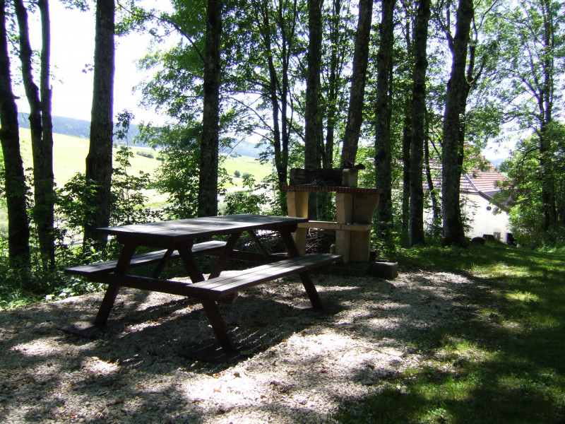 1er emplacement barbecue dans notre Parc boisé
