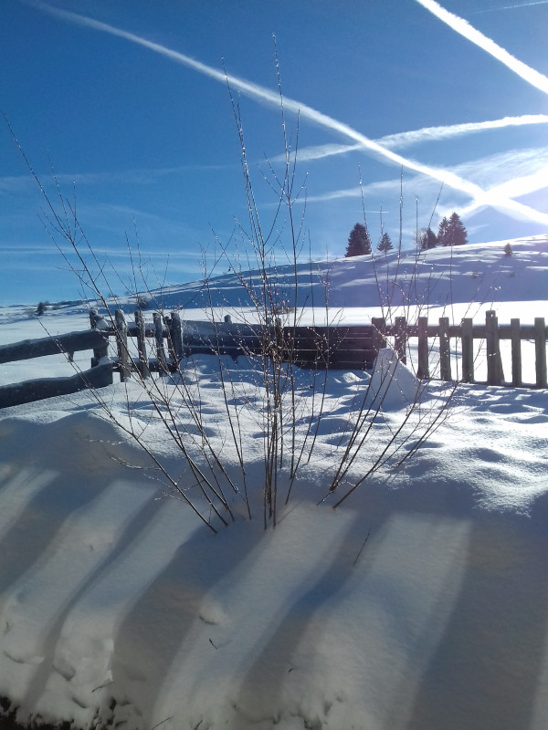 20190118_111220 (1) 20190118_111220 (1)