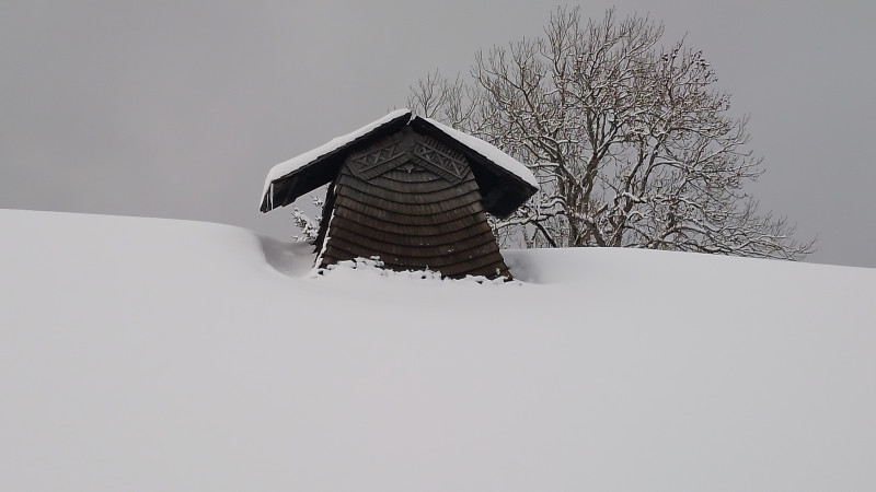 Tuyé sous la neige - © Ecomusée Maison Michaud Tuyé sous la neige