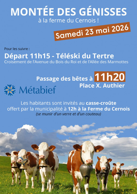 23 mai - montée des génisses - Méta - © mairie 23 mai - montée des génisses - Méta