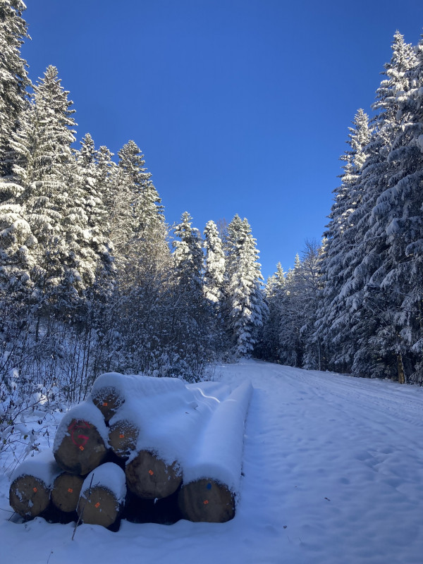 Nos paysages enneigés Nos paysages enneigés