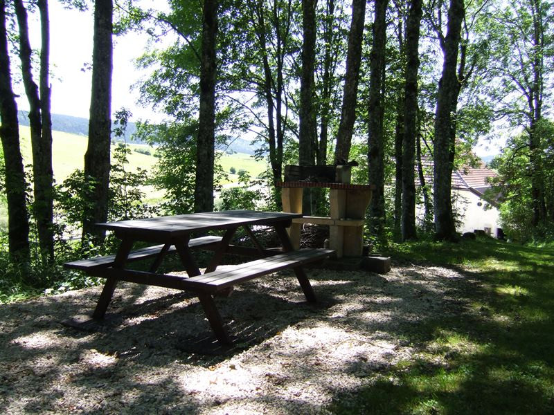 APPARTEMENT 2 - Dans notre Parc boisé, un coin barbecue privatif