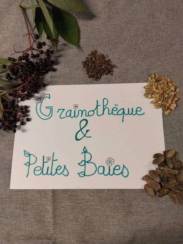 Grainothèque & petites baies Grainothèque & petites baies