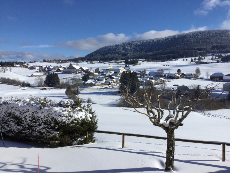 89BFF494-5ECE-4637-B7B3-F67AA76CF17D