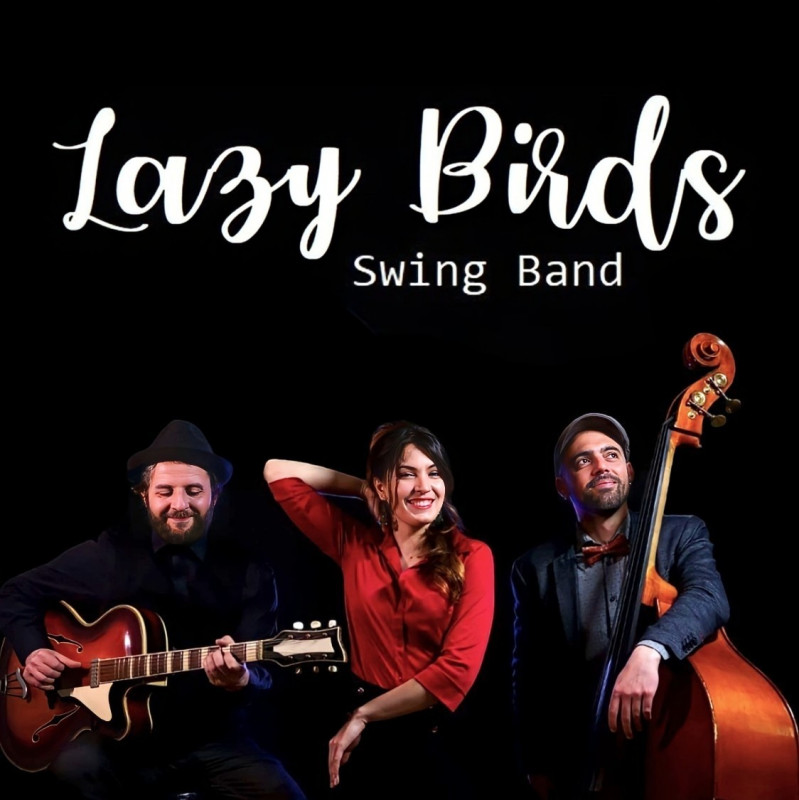 Lazy birds