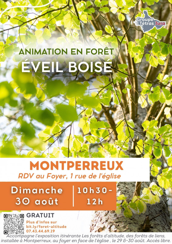 Animation en forêt : éveil boisé