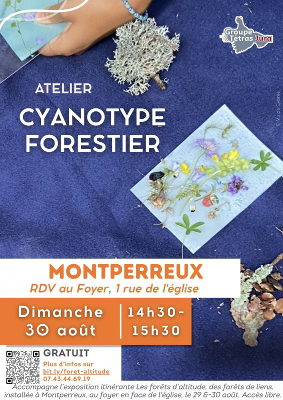 Atelier Cyanotype Forestier
