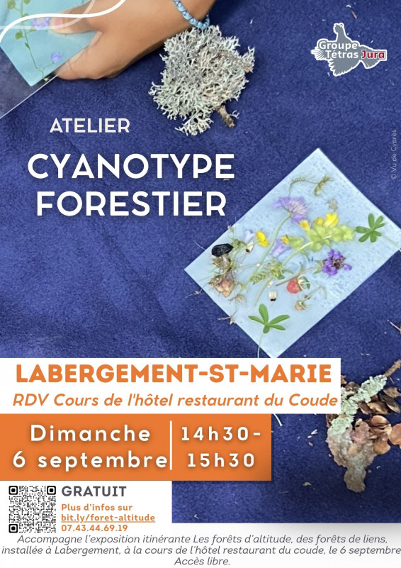 Atelier Cyanotype Forestier