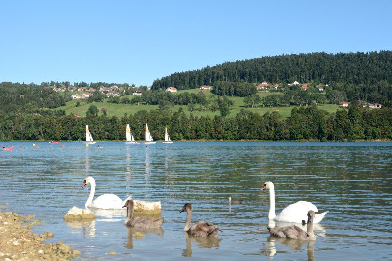 Baignade, voile sur le lac St Point   