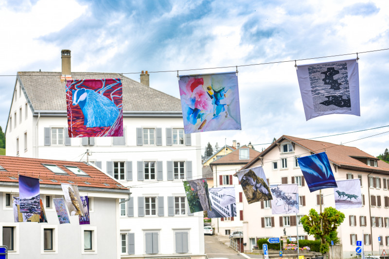 Drapeaux 55 - © Carole Alkabes Drapeaux 55