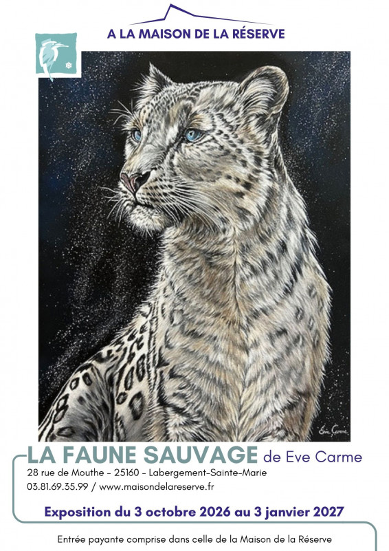 Expo Eve Carme