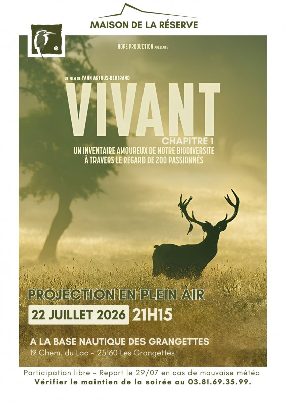 Film en plein air