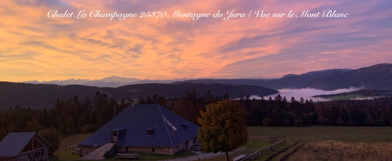 Un coin sauvage Un coin sauvage