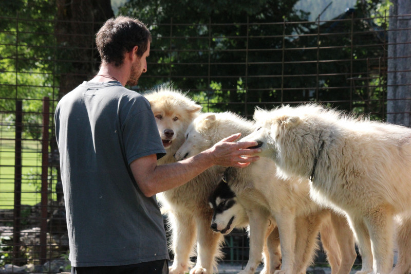 IMG-1855-2 IMG-1855-2