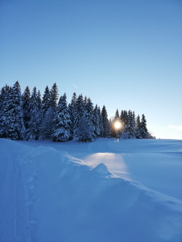 Mont d'Or, La Boissaude