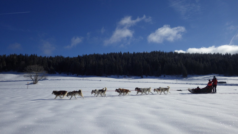 baptême en traîneau