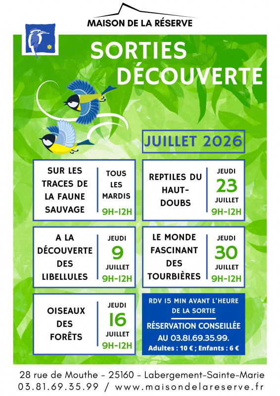Sorties de l'été