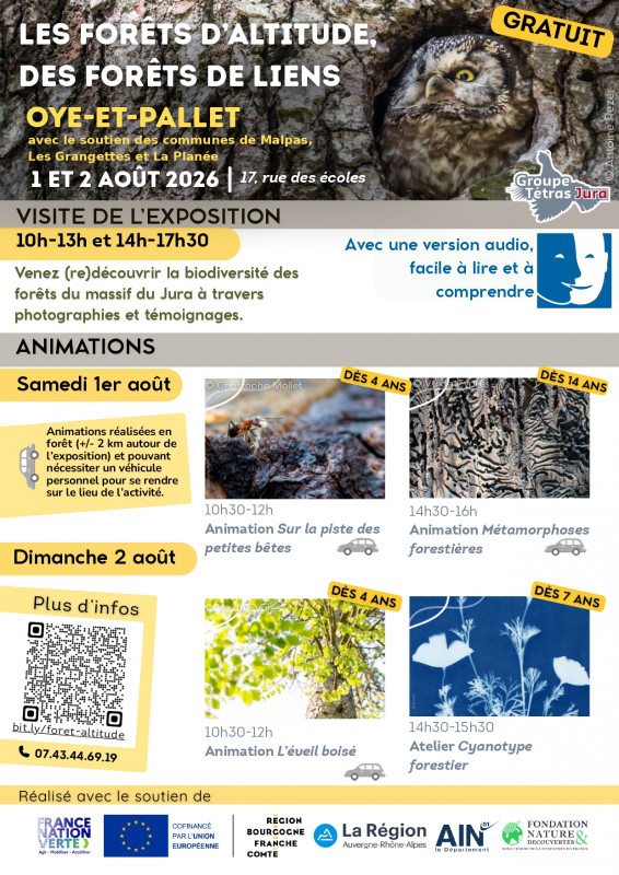 affiche animations affiche animations