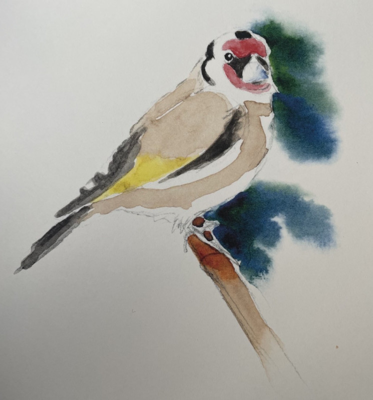 aquarelle aquarelle