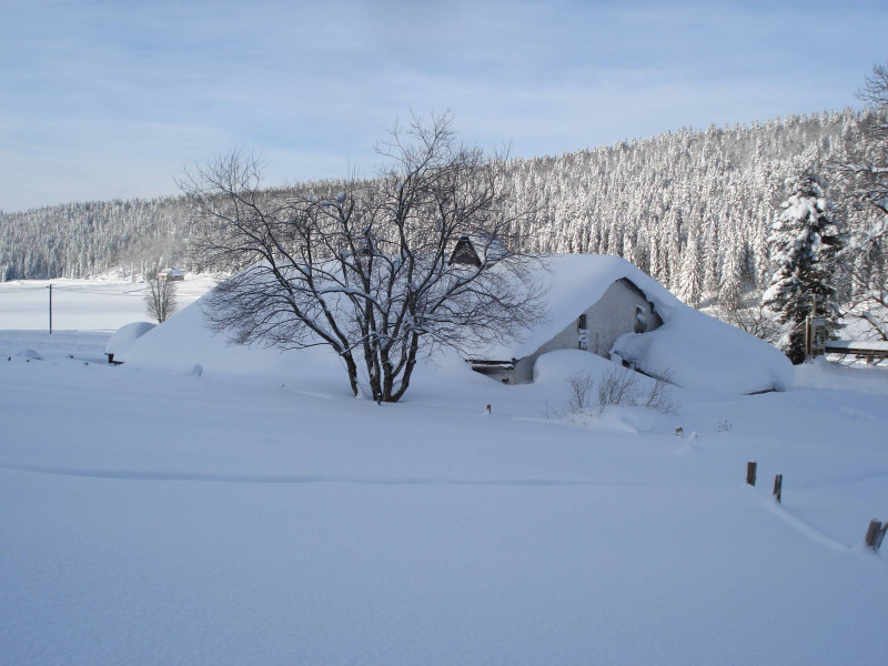 ecomusee hiver ecomusee hiver