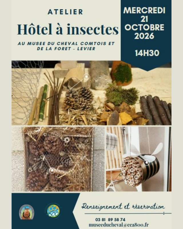 Design sans titre - 1