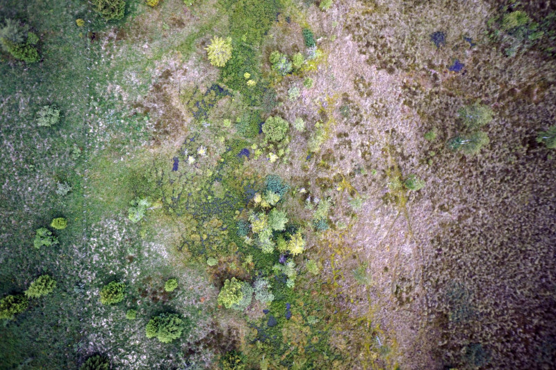 2026_40ans_Frasne-Drugeon